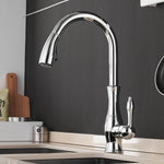 Robinet Cuisine Douchette – Paris - Vignette | Touslesrobinets.com