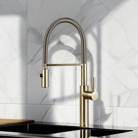 Robinet Cuisine Douchette Versailles moderne laiton